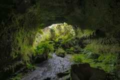 Cave - Pico, Azores
