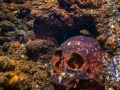 Skull inside Yamagiri Maru - Truk Lagoon